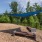 The dog park at Victor Stonebridge pet friendly apartments in Woodbridge, featuring a fenced-in area with a shade structure.